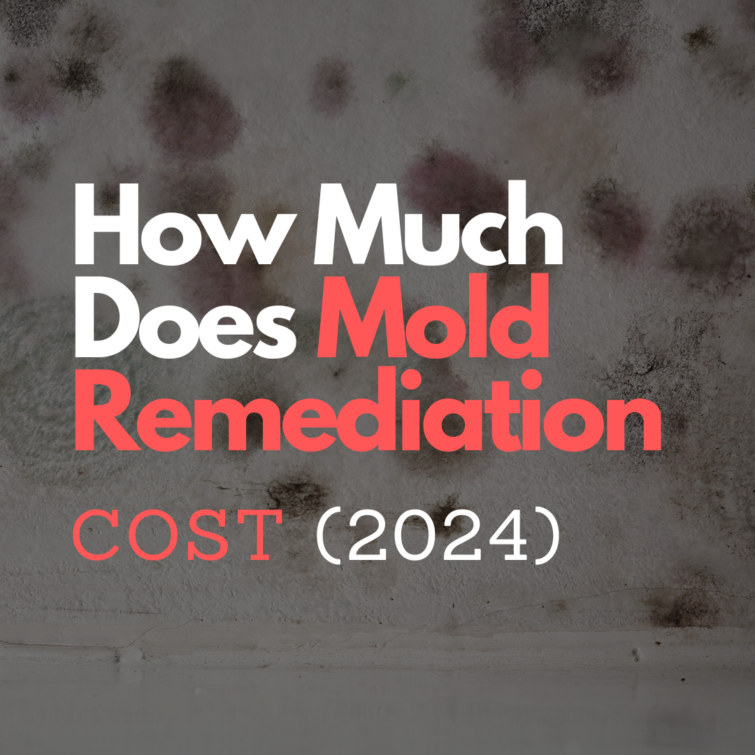 how-much-does-mold-remediation-cost-hialeah-fl